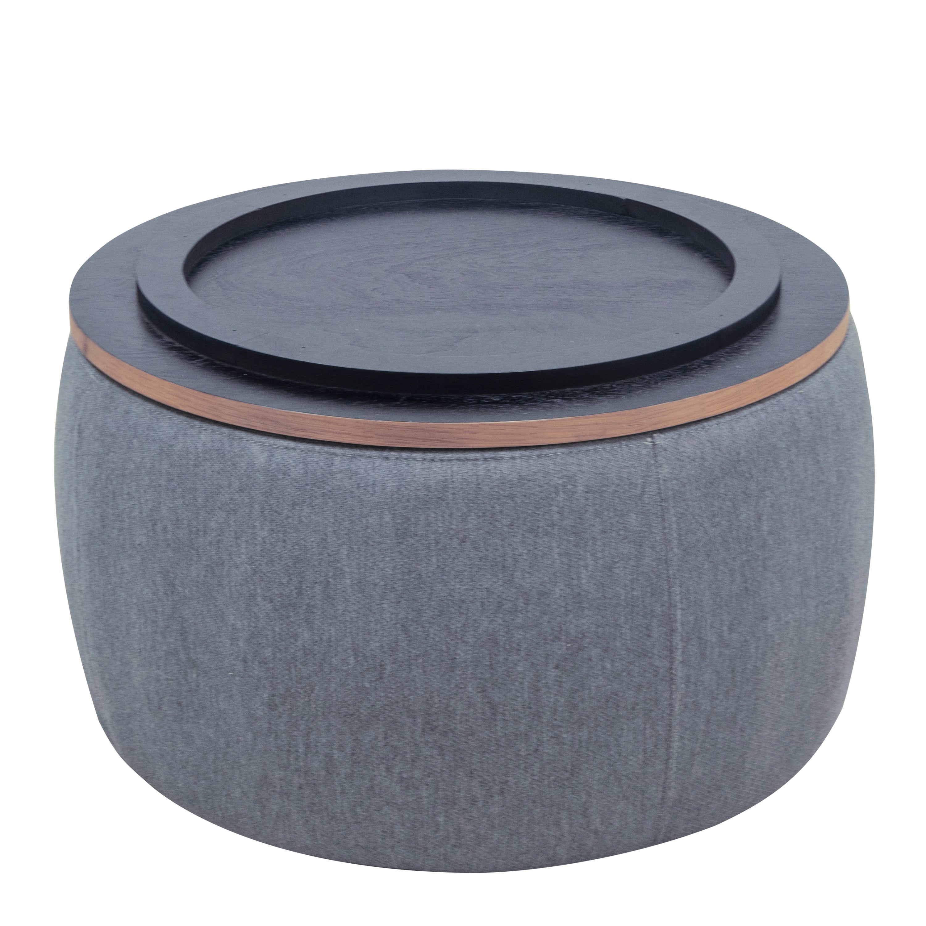 25173081