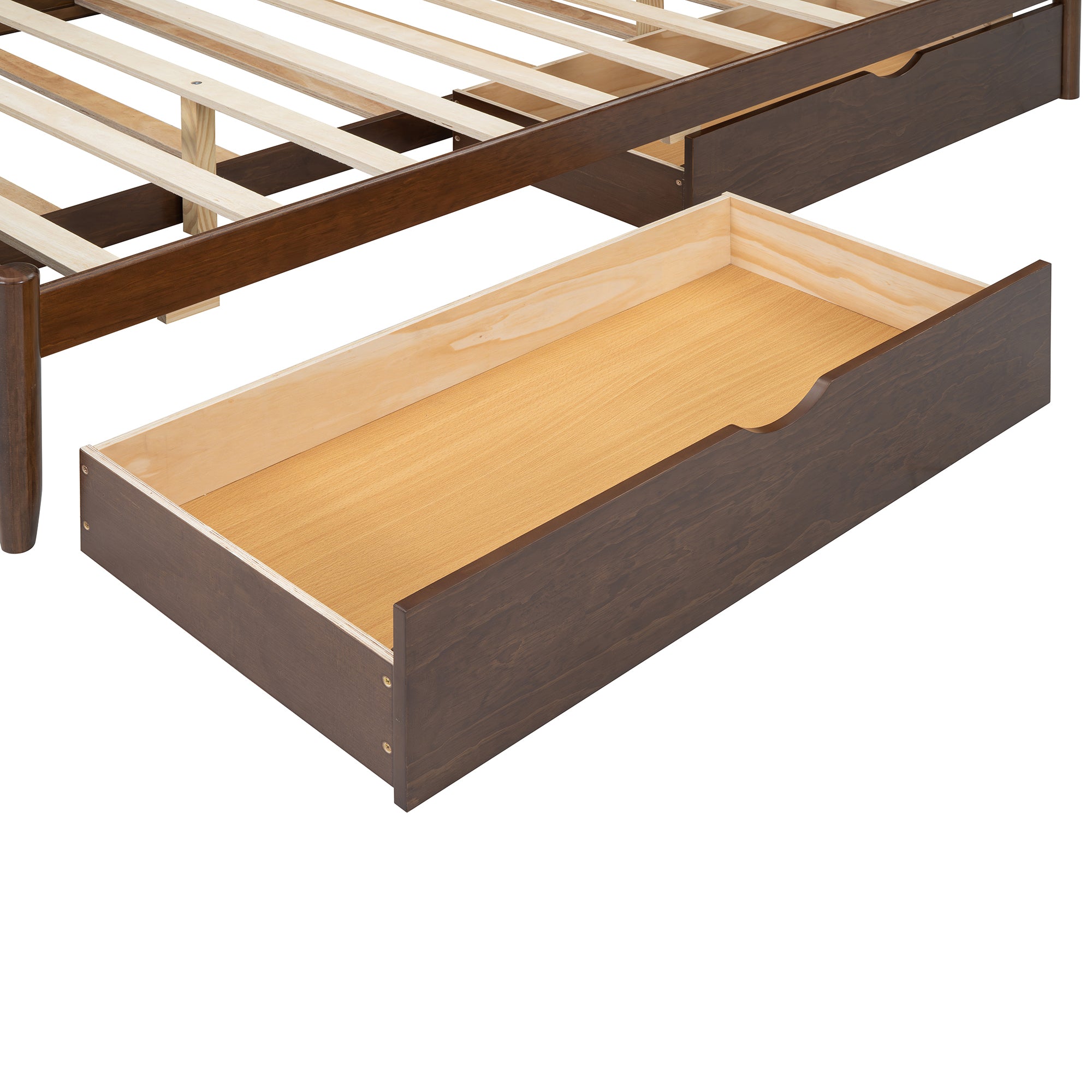 24488142