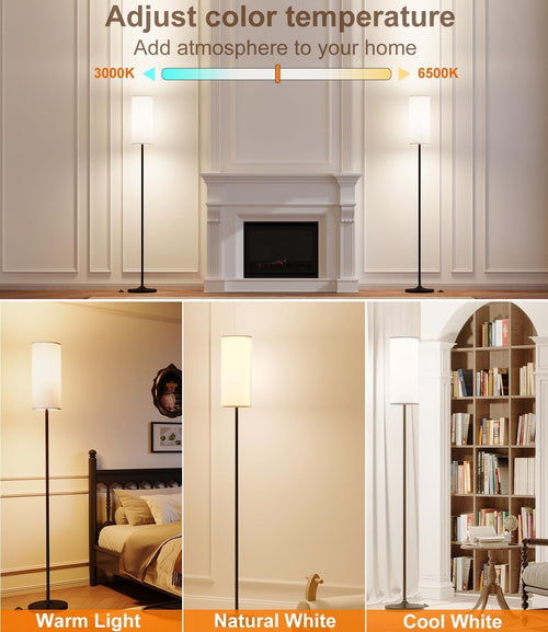 Black Floor Lamp