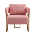 TS Modern Decorative Chair, Living Room Side Chair with Gold Metal Legs, Teddy Fleece Upholstered, 2PCS Pink