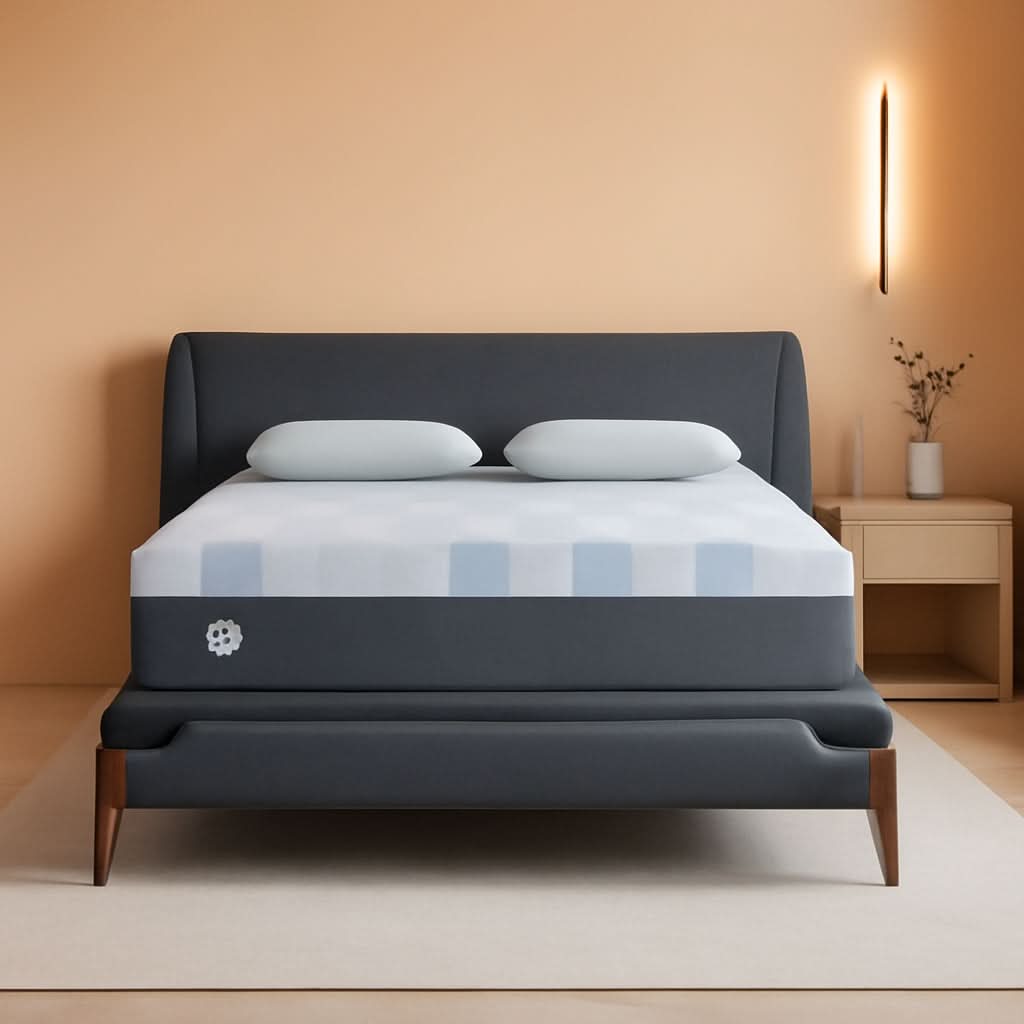 Queen Dreamlife Gel Memory Foam Mattress Surface Guard-0