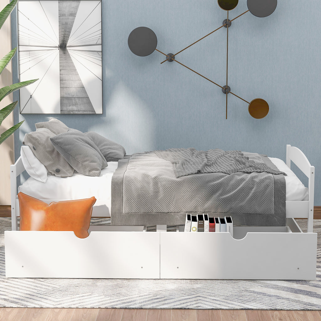24295560