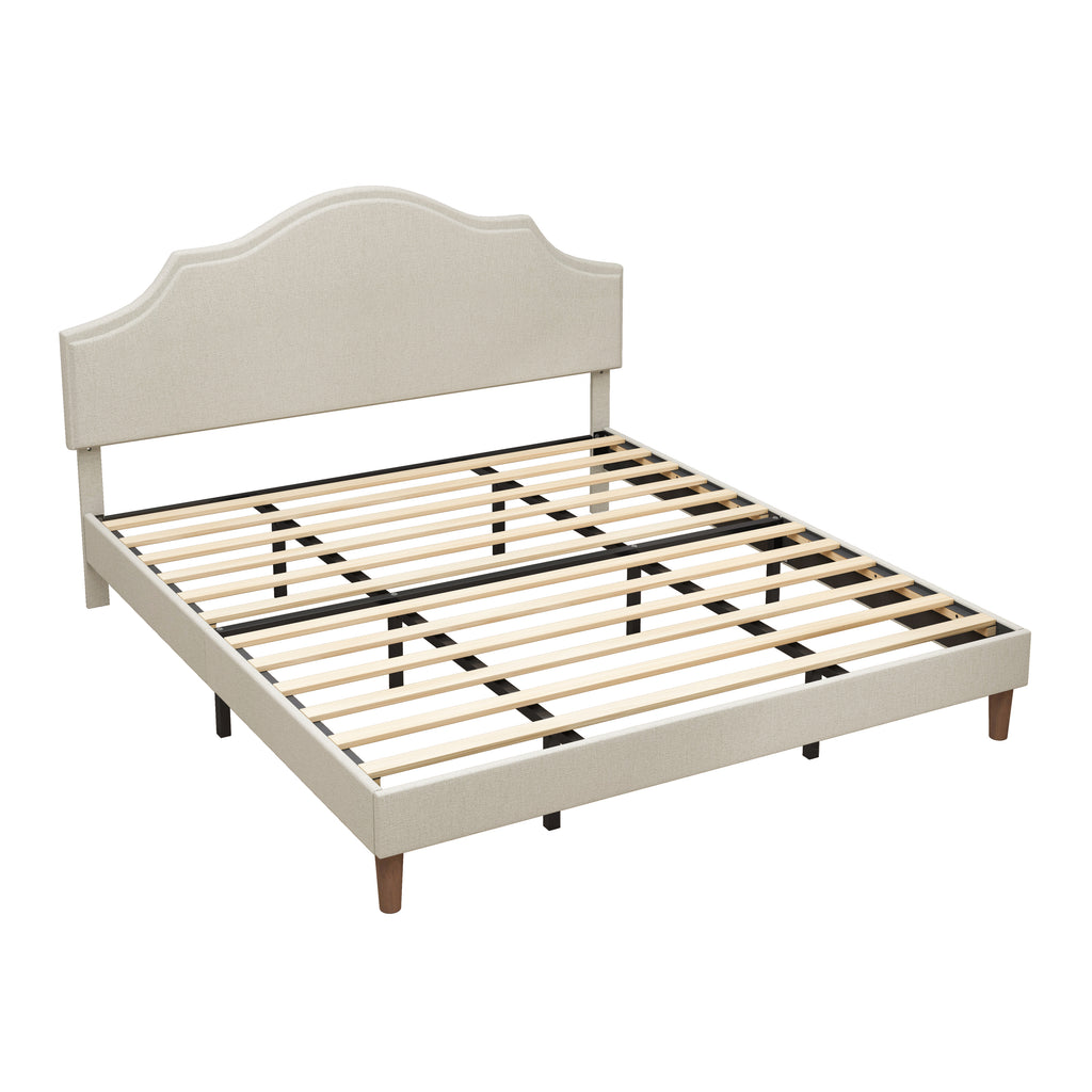 24596366