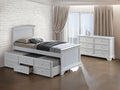 Transitional Style Capital Twin Bum Bed White Finish Headboard And Footboard Panel Trundle With 3 Storage Drawers Mortise & Tenon Joint
