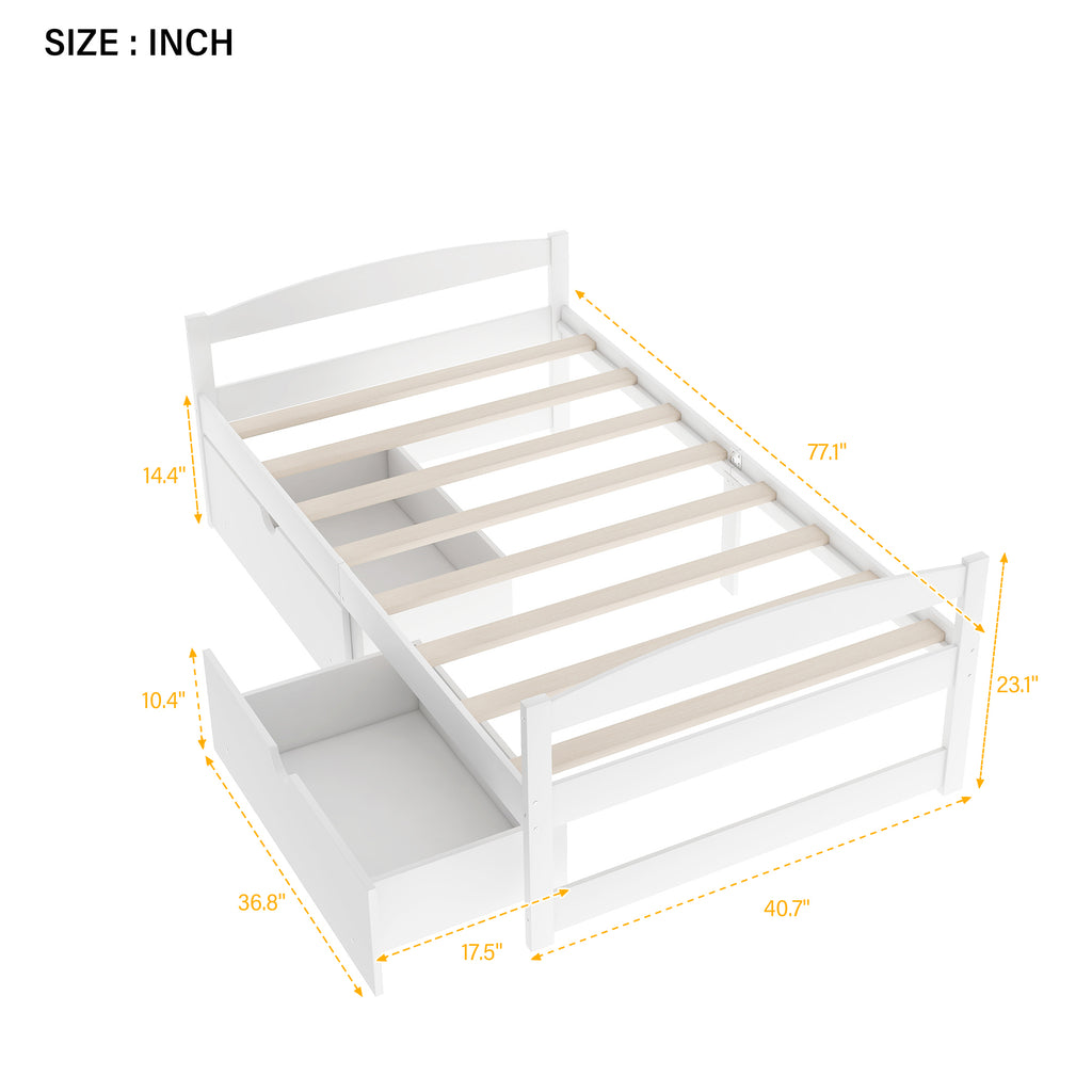 24594642