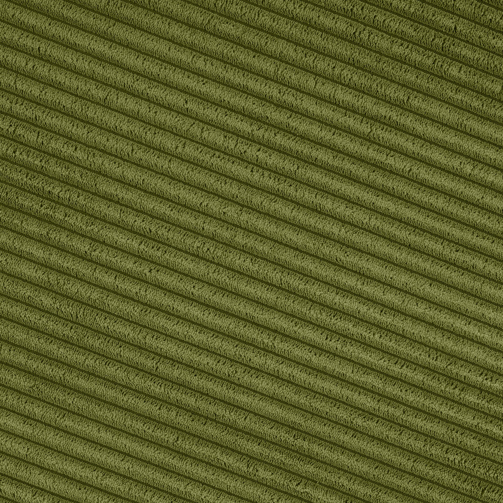 25173394