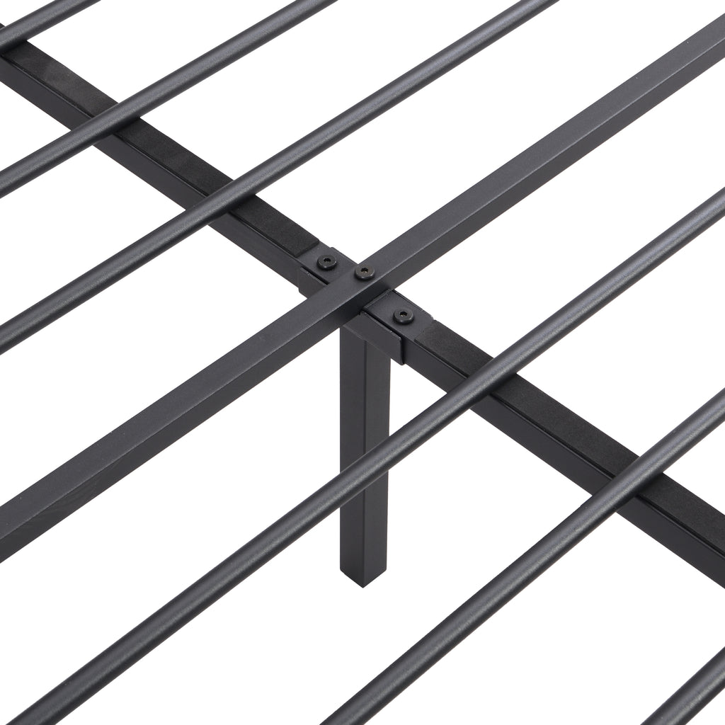 24295646