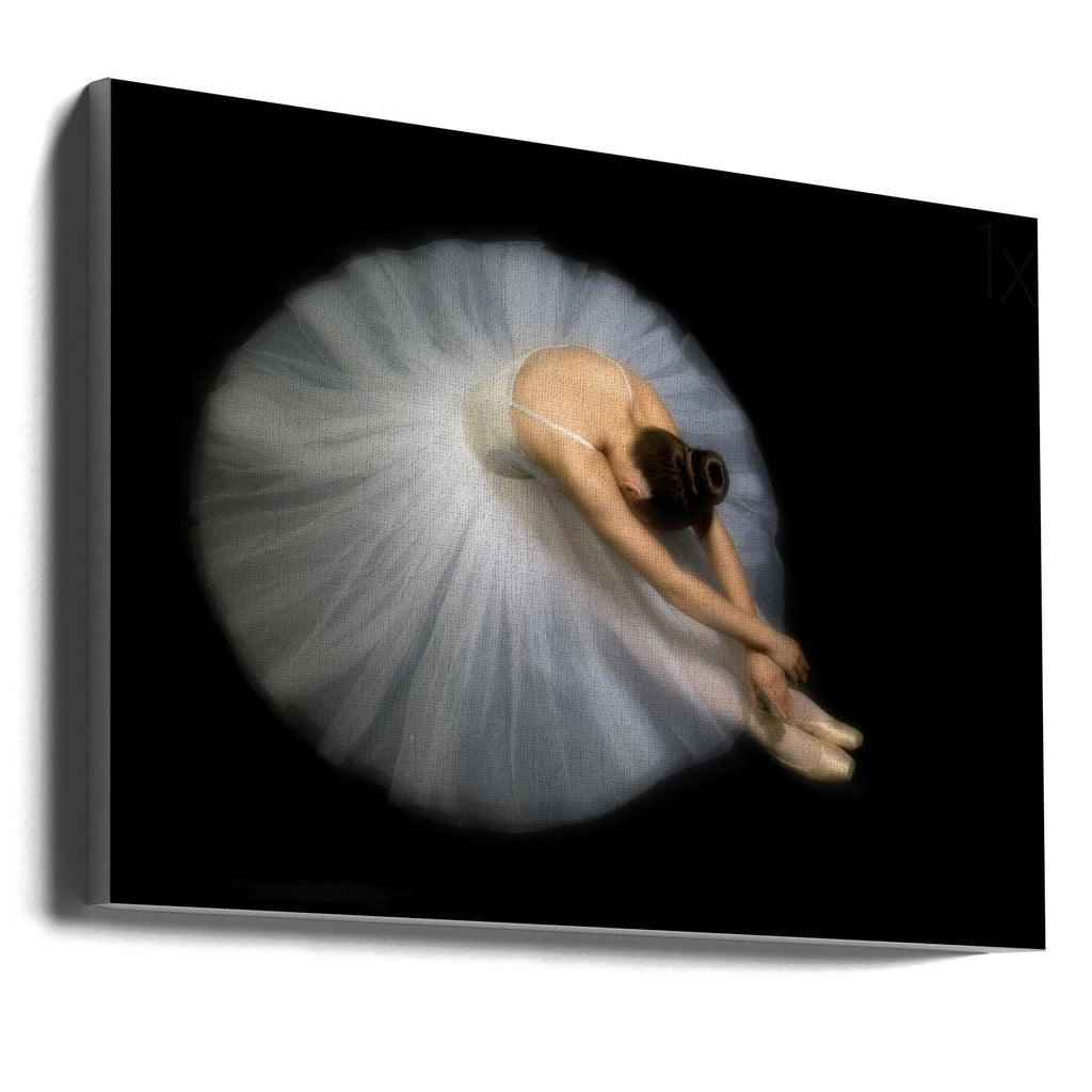 Wall art Elegance. Dance-0