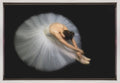 Wall art Elegance. Dance-1