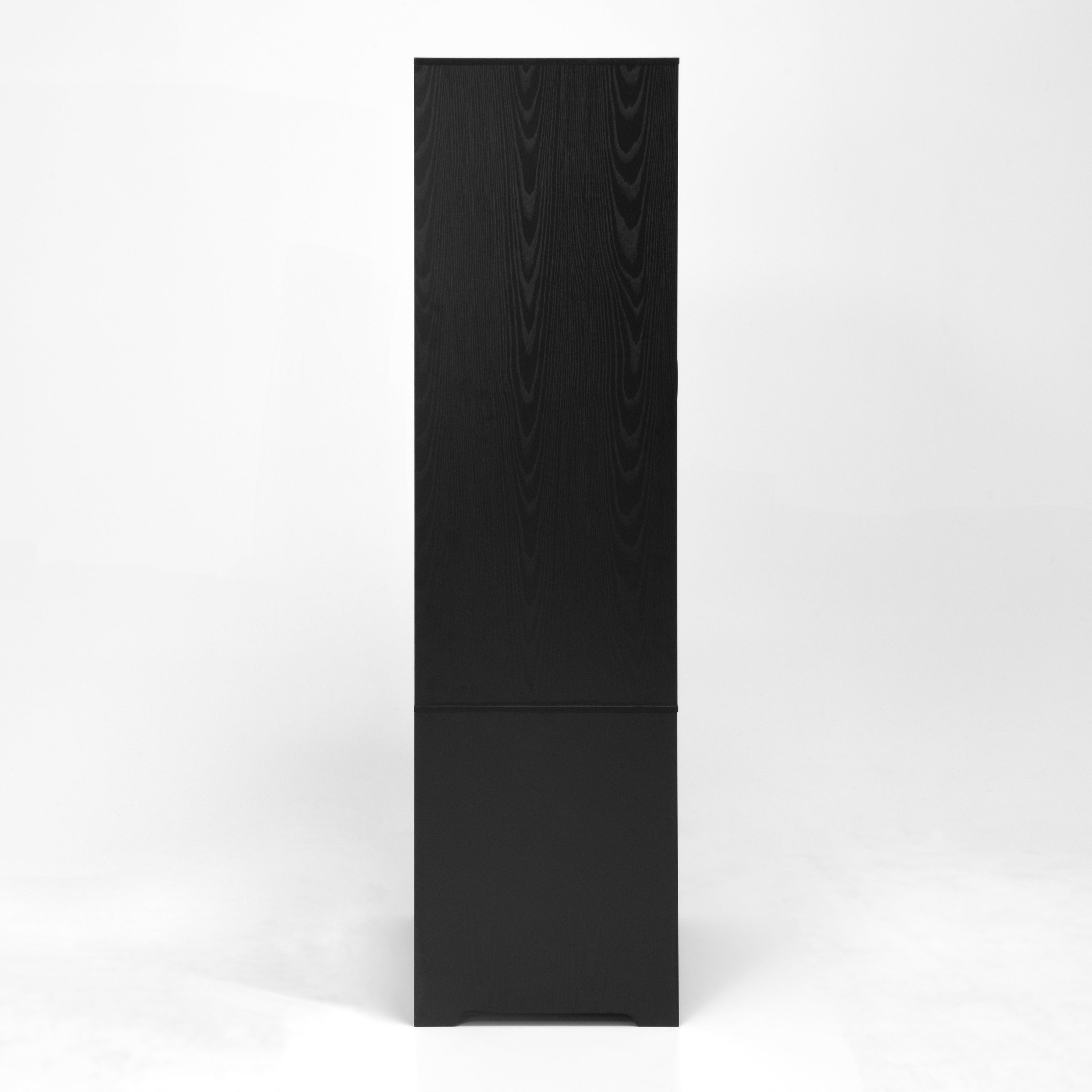 24220036