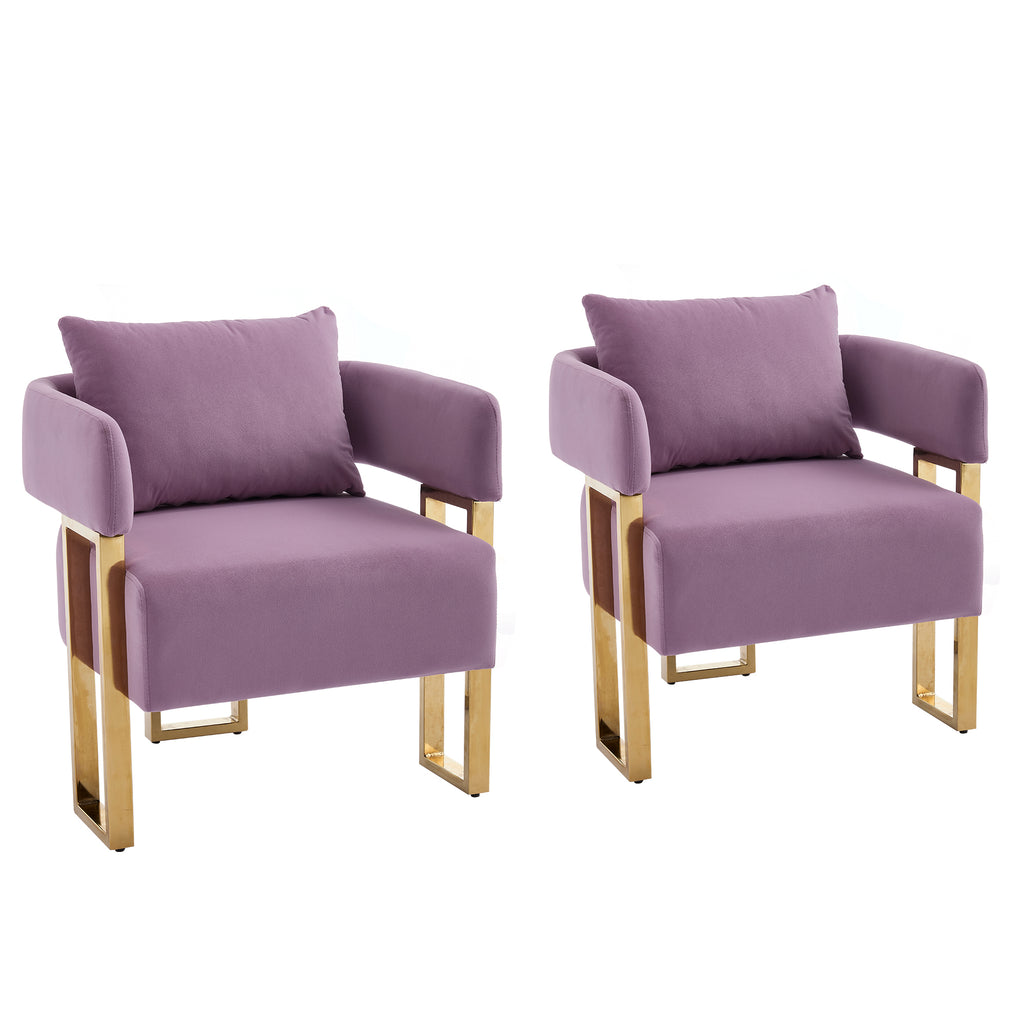 Set of 2 Lilac Velvet Upholstered Side Chair