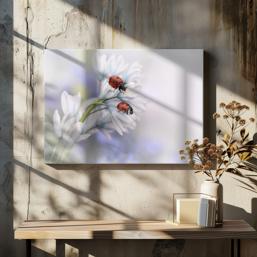 Wall art Ladybirds-4